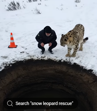 Screenshot 2025-05-05 112410