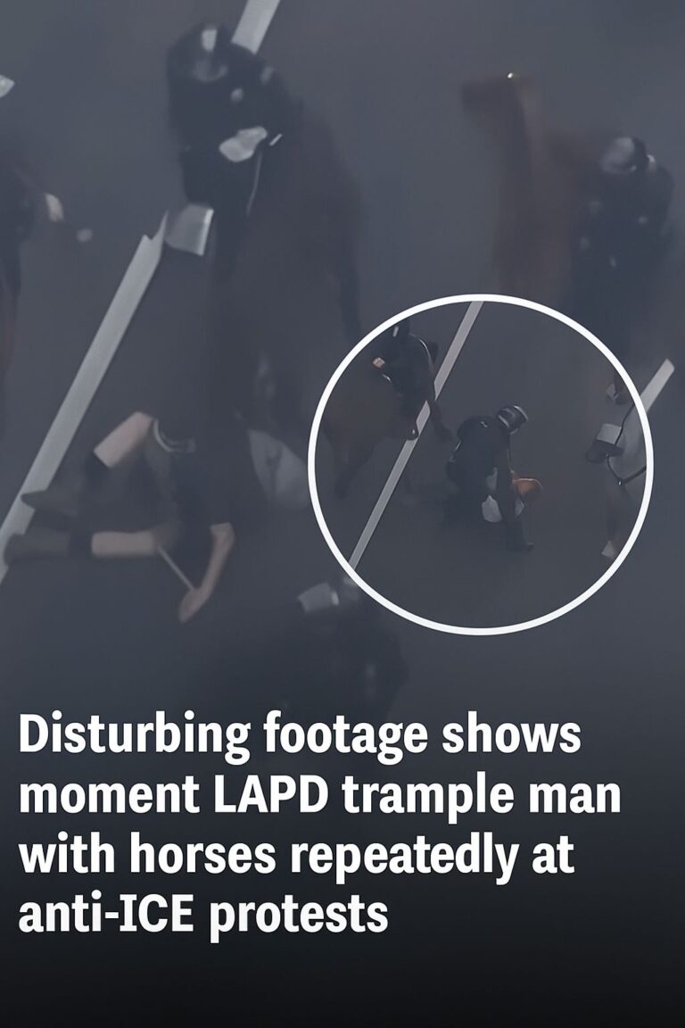 LAPD horses repeatedly trample man during anti-ICE protest — full video in comment link