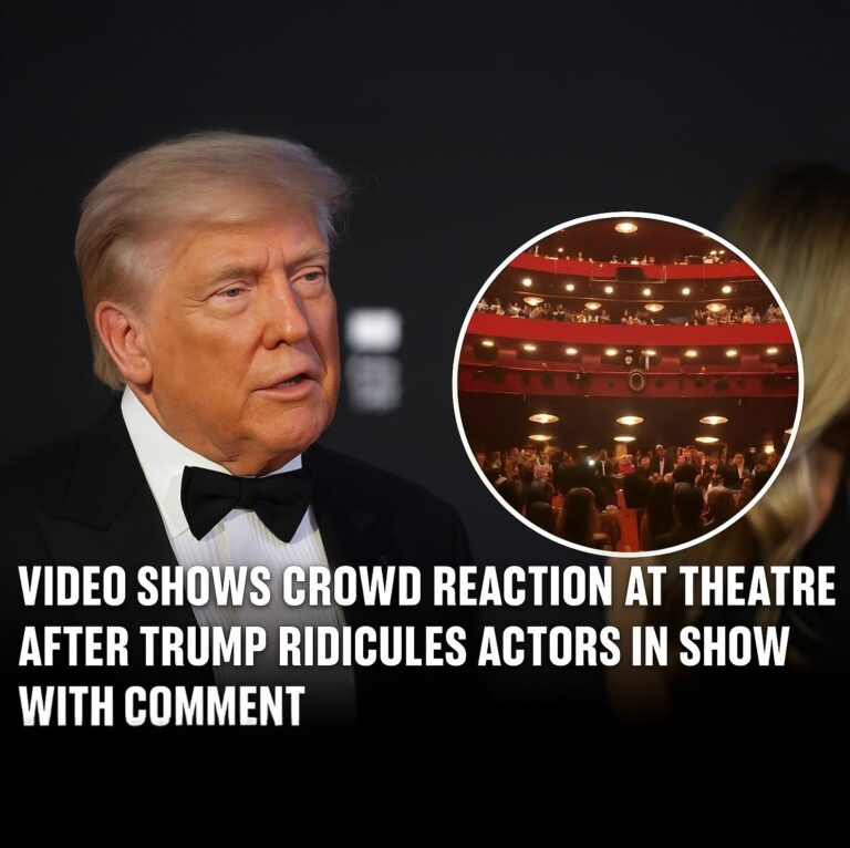 Video shows crowd reaction at theatre after Trump ridicules actors in show with comment