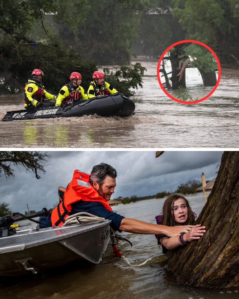 Blake Shelton’s Heroic Rescue of Teen Girl Clinging to Tree Amid Texas Floods
