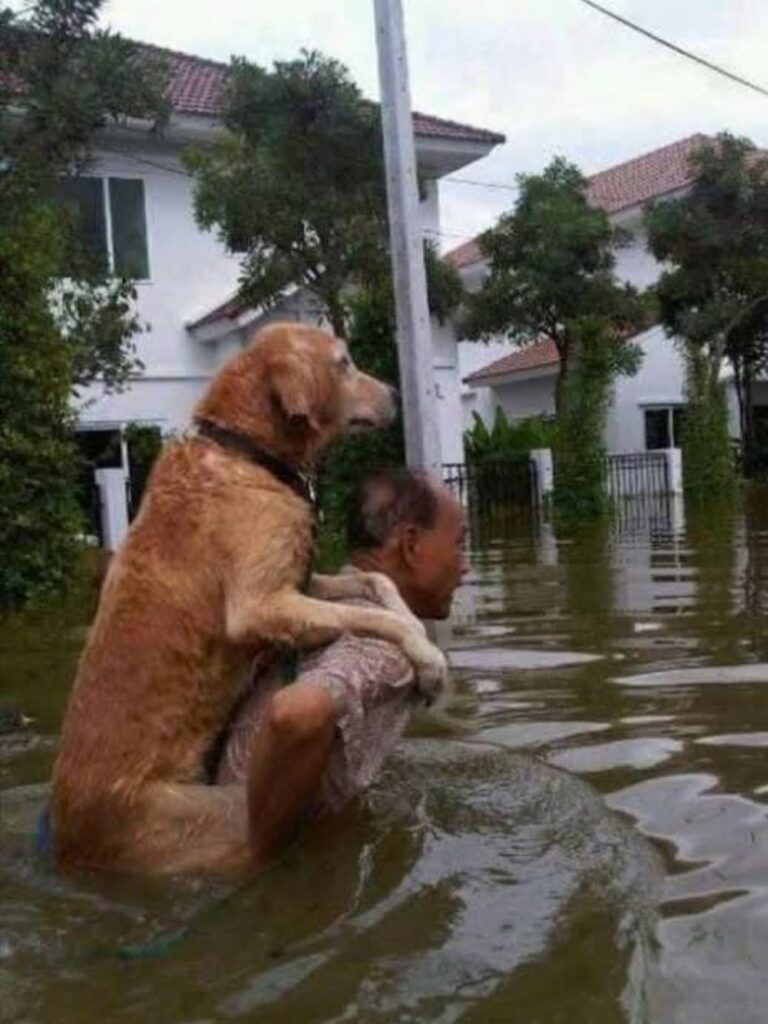 He saved the most valuable thing he had.. Not his car, not his furniture, but his dog.