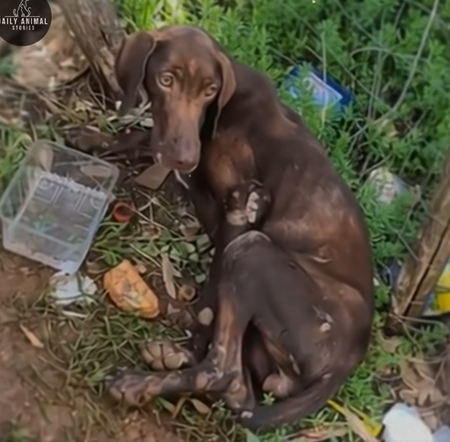 Screenshot 2025-07-09 114214