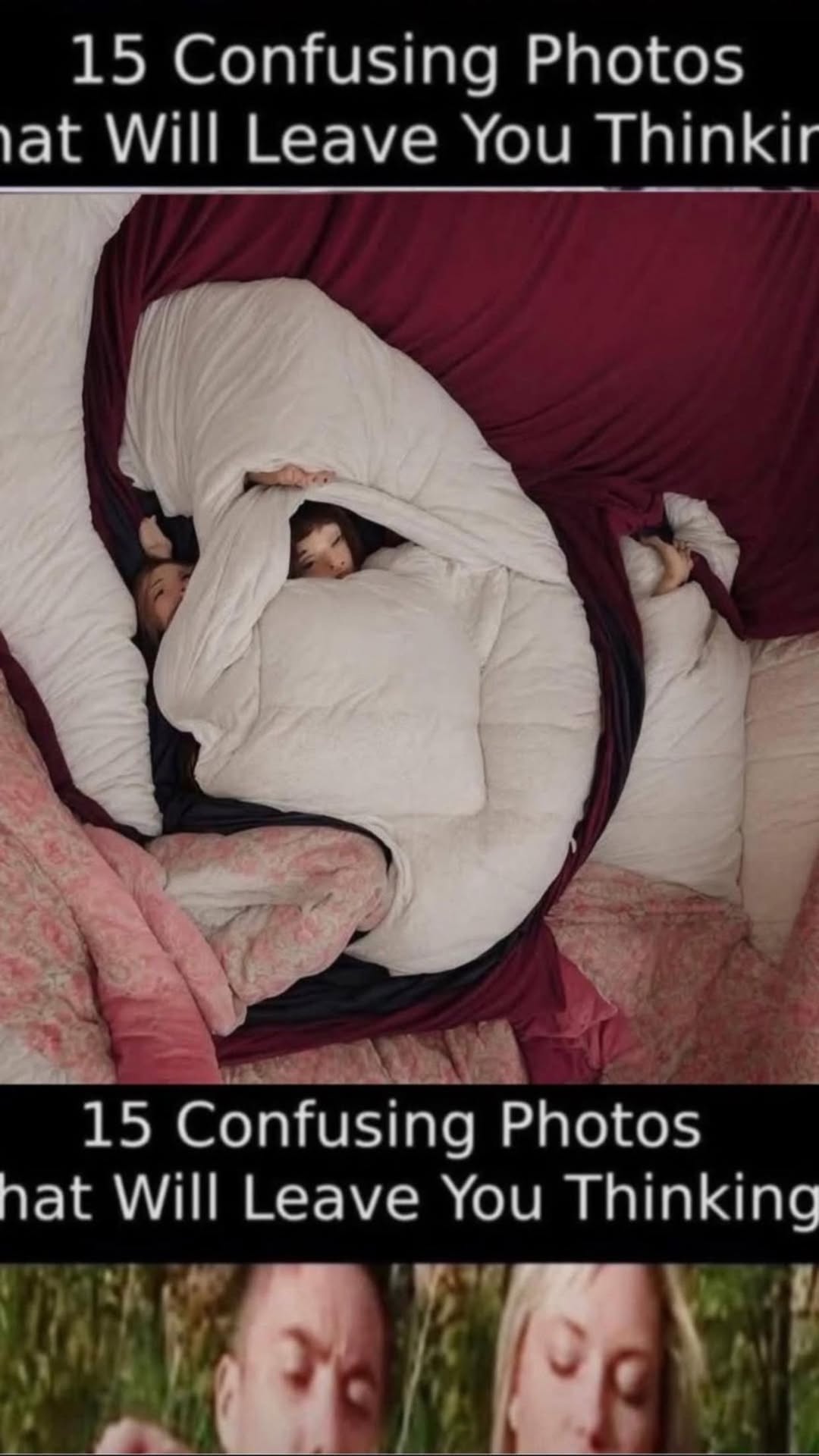 Pics that need a double take