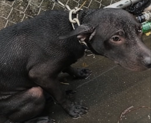 Screenshot 2025-08-14 152504