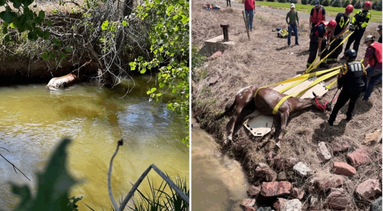 Screenshot 2025-09-01 112853