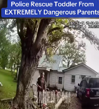Screenshot 2025-12-19 120549