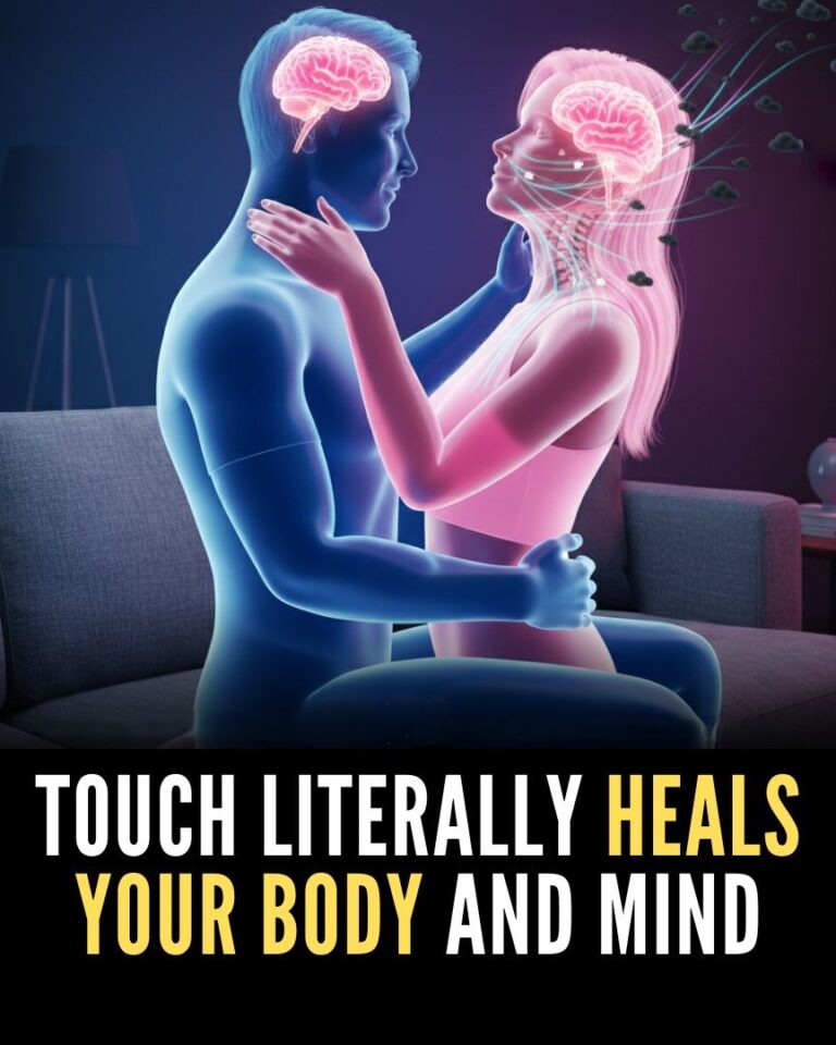 The Healing Power of Touch How Human Connection Changes the Body and Mind
