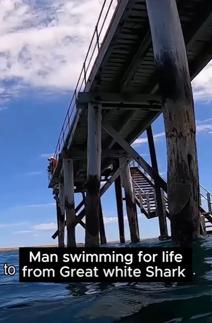 Screenshot 2026-02-09 121317