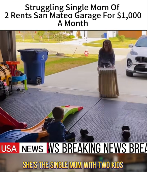 Screenshot 2026-02-13 114027